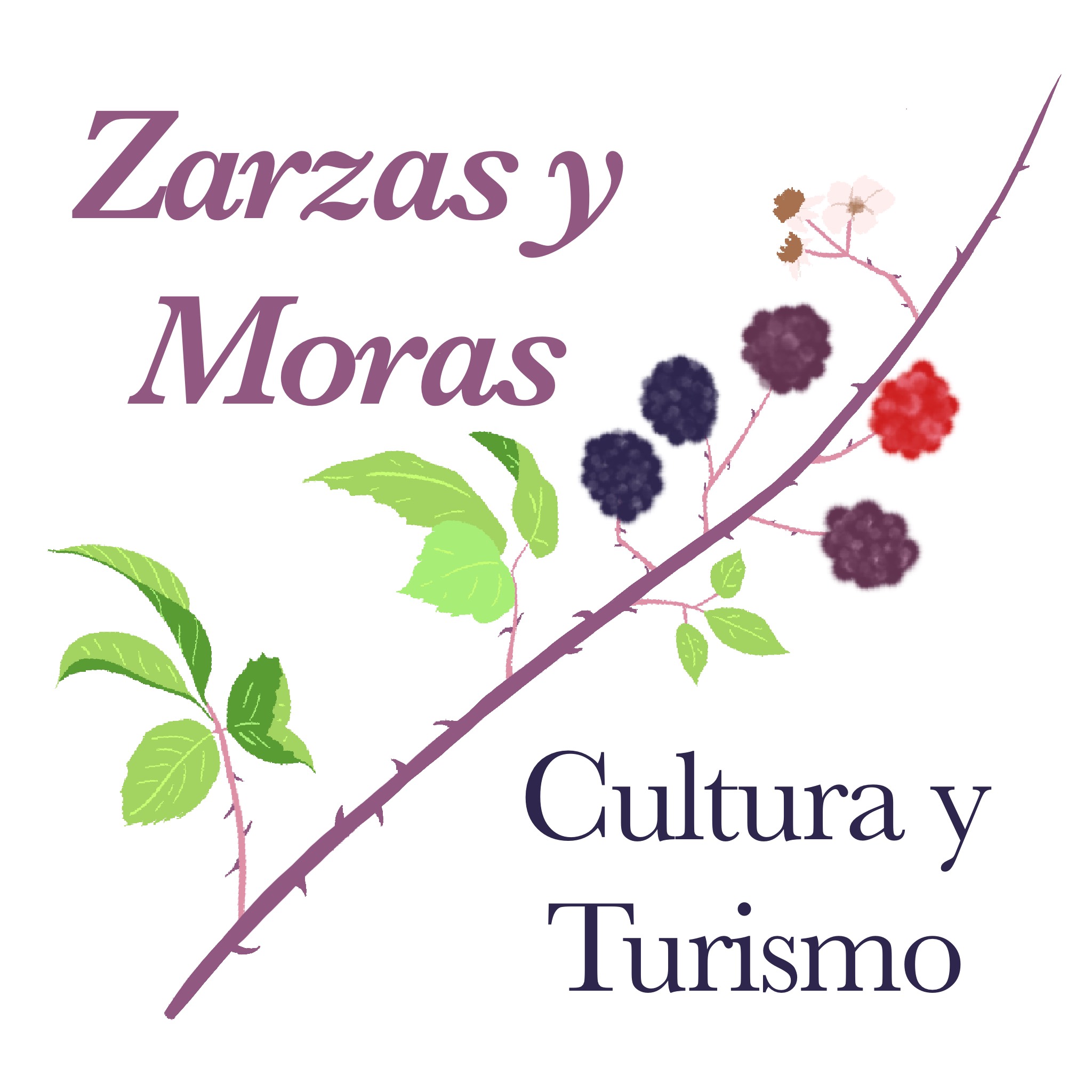 Zarzas y moras, propuesta culturales, turismo y naturaleza