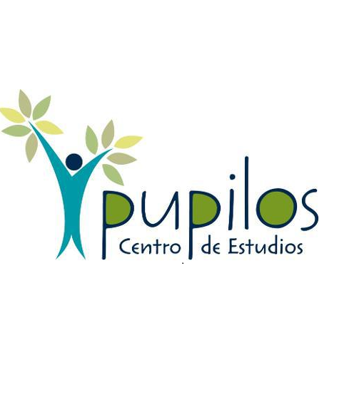 CENTRO DE ESTUDIOS PUPILOS