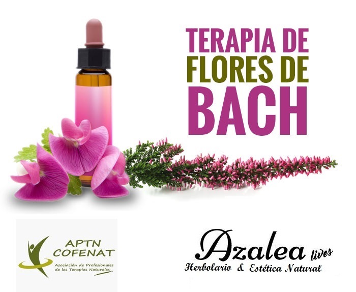 ASESORAMIENTO EMOCIONAL CON FLORES DE BACH