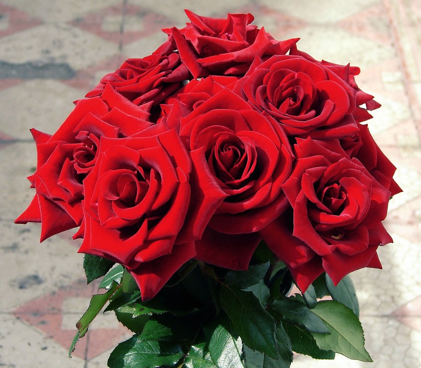 Sorprende a alguien especial con un Fantástico Ramo de 6 ROSAS PREMIUM