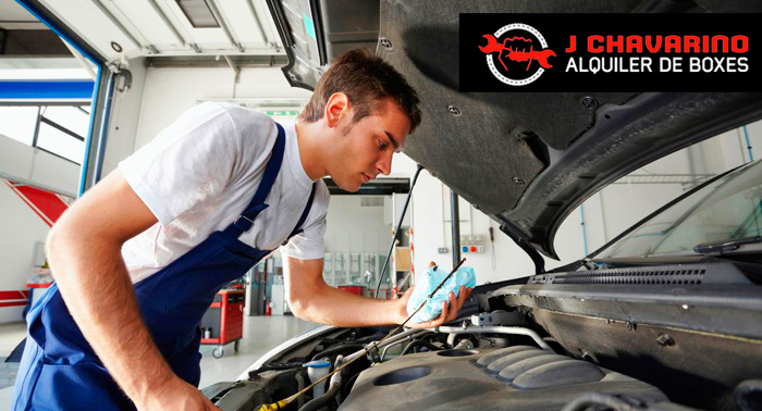¡Coche a punto! Revisión + Cambio de Aceite + Filtro + Correa Distribución