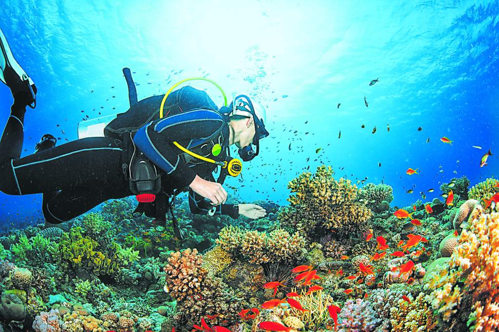 ¡Descubre el fondo del mar! Bautismo de Buceo para 1 persona.