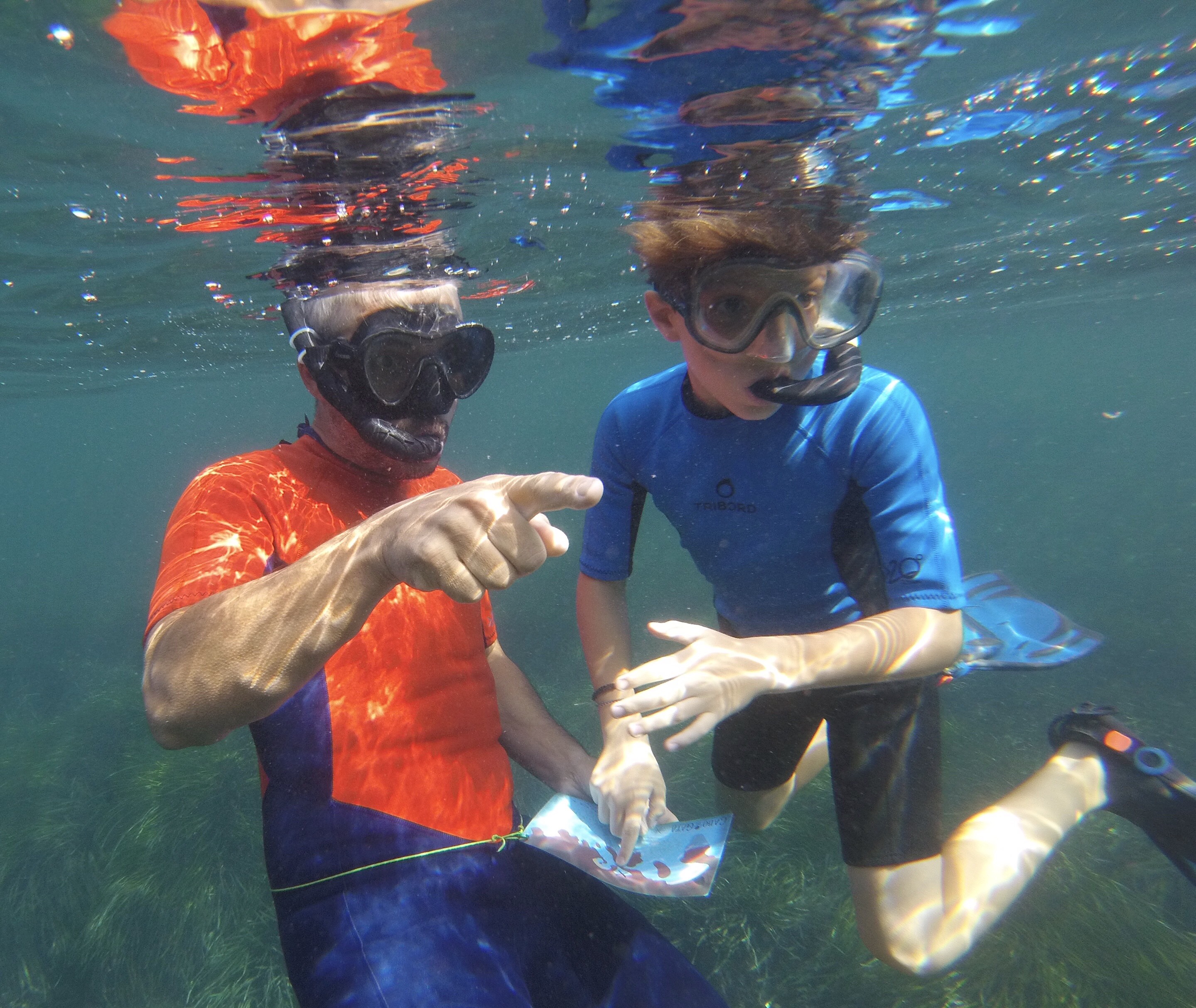 Actividades de Snorkel en el Parque Nacional de Cabo se Gata. ADULTOS